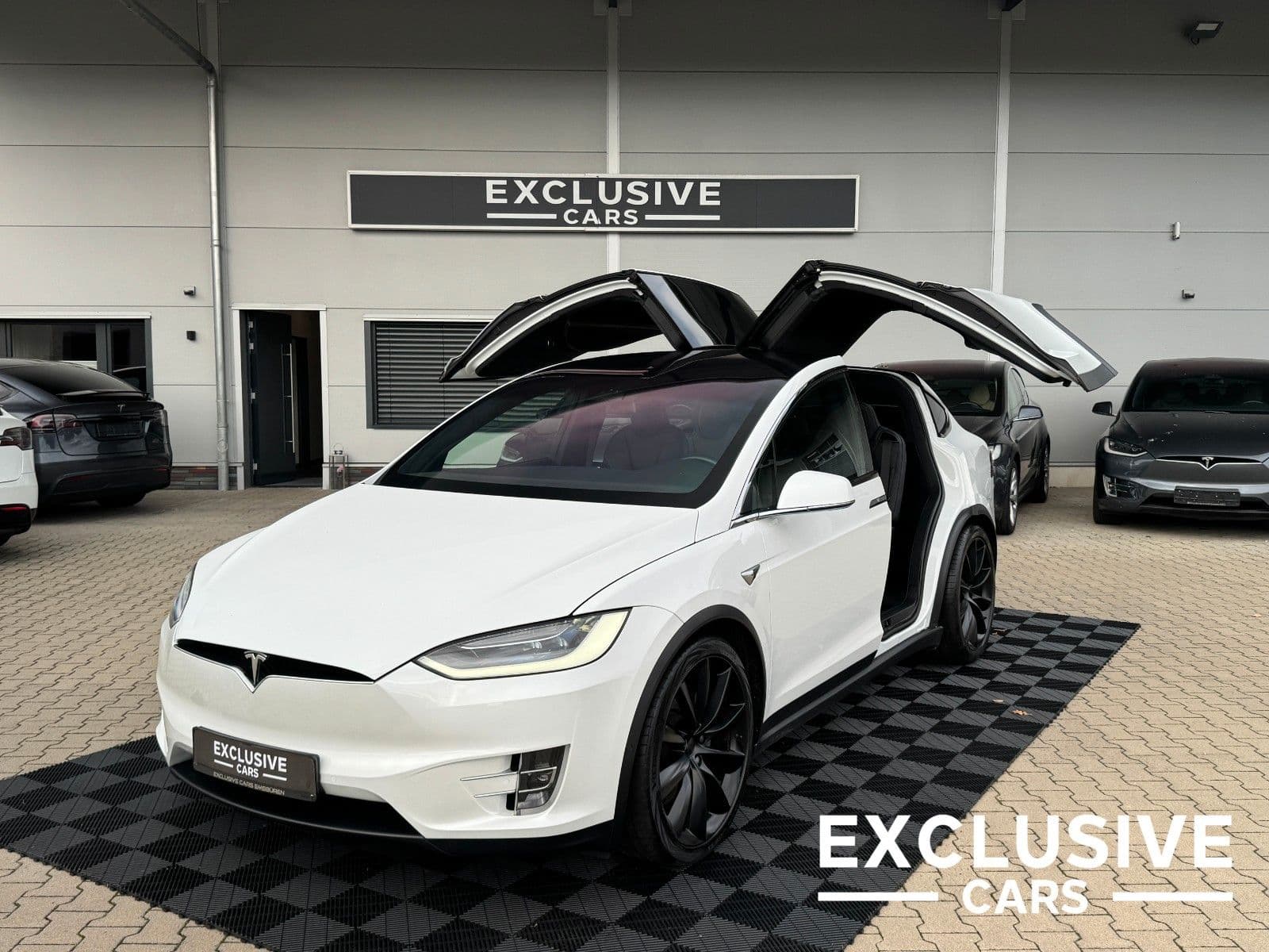 TESLA Model X - Bild 1