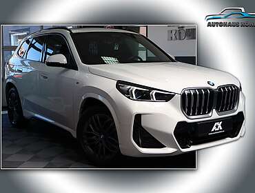 BMW X1 X1 23i xDrive M Sport Leder Head-Up HiFi Shadow