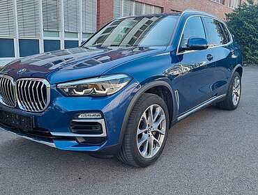 BMW X5 X5 30d xD xLine 7Sitz Integral AHK Pano H/K LUFT