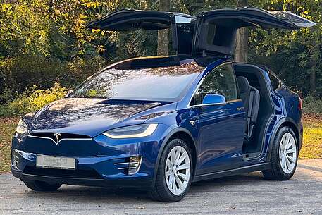 Tesla Model X MODEL X LONG RAVEN | AP HW3.0 | CCS | ASH WOOD |