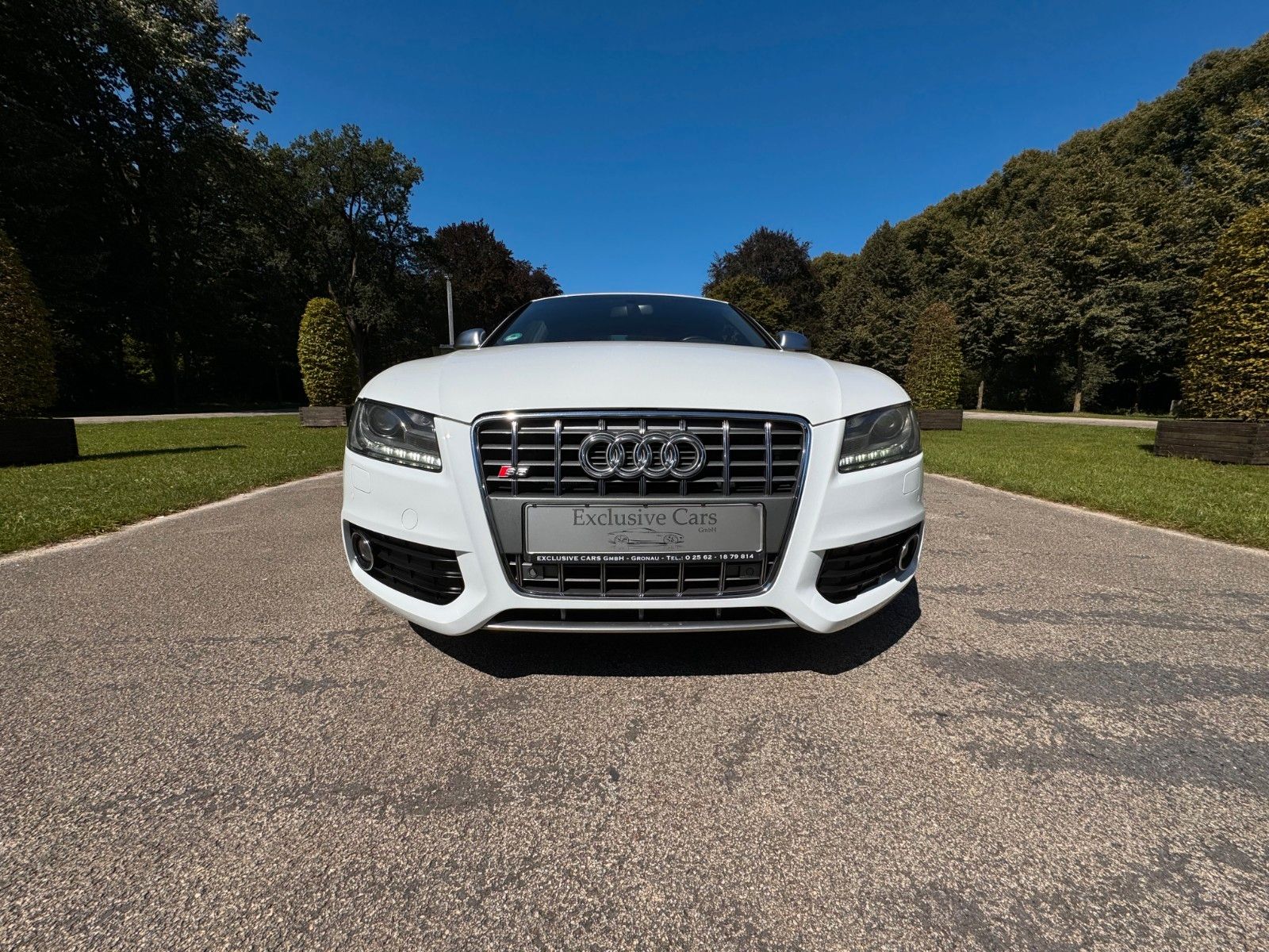 Audi S5 S5 4.2 FSI QUATTRO | S-LINE | B&amp;O | CARBON |