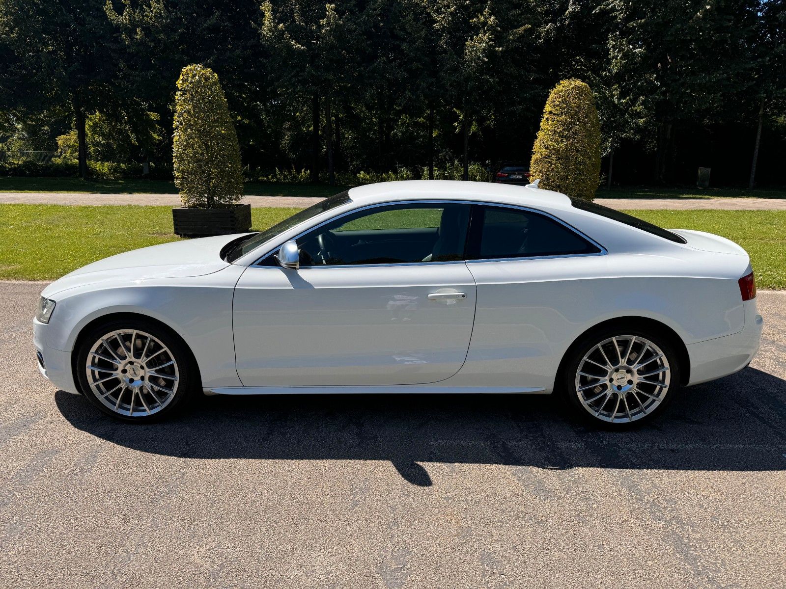 Audi S5 S5 4.2 FSI QUATTRO | S-LINE | B&amp;O | CARBON |