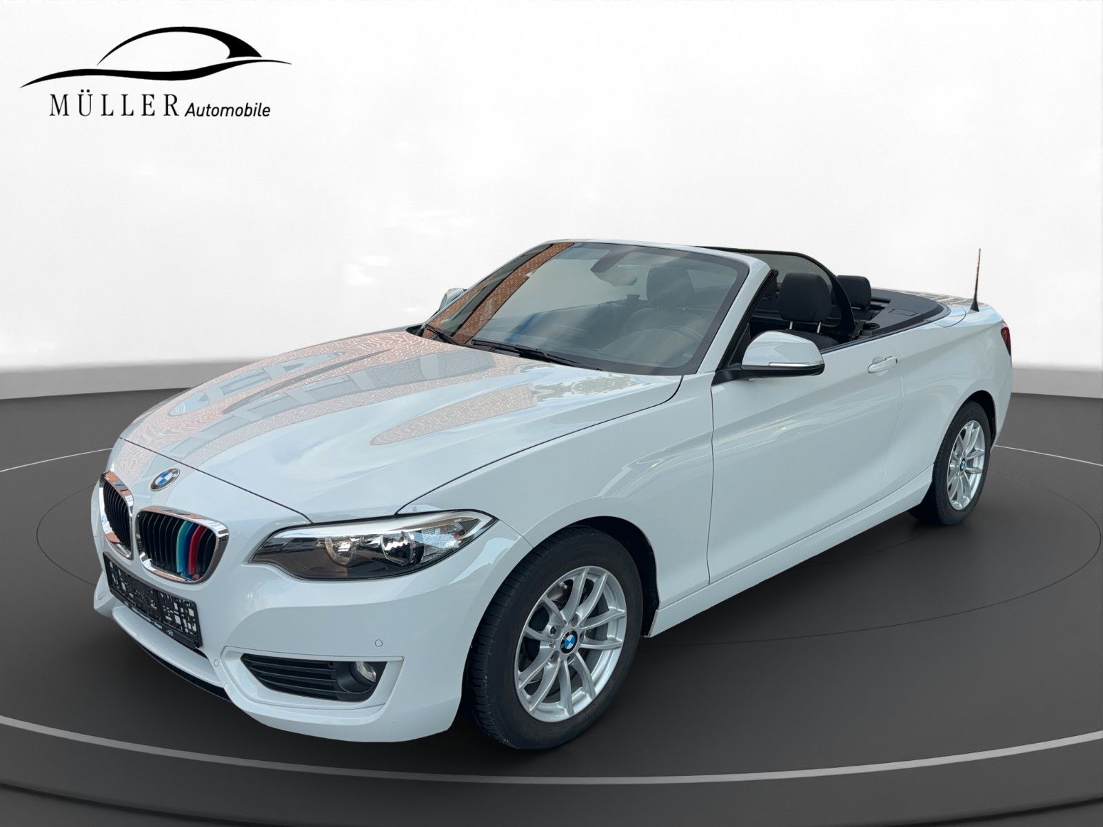 BMW 218 218i Cabrio Advantage Navi PDC Alu Klimaaut.