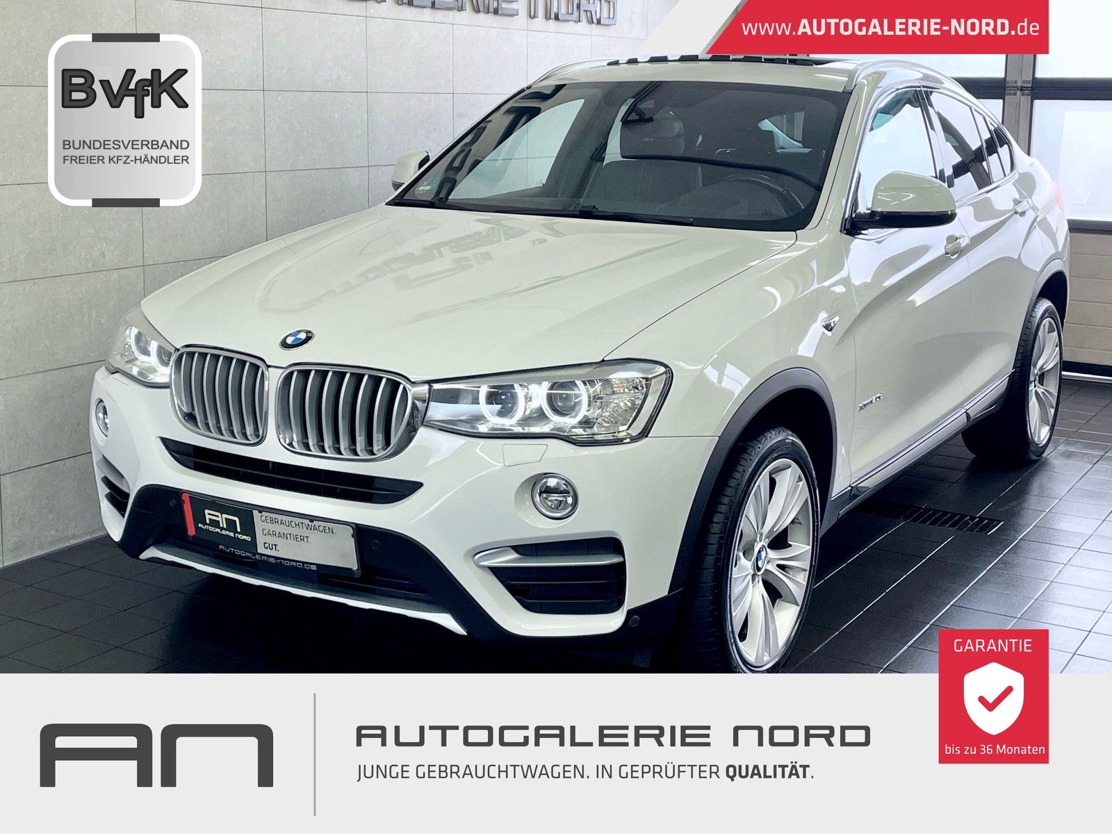 BMW X4 X4 xDrive20d xLine Navi-Proff+KeyGo+HUD+SHD+Spor