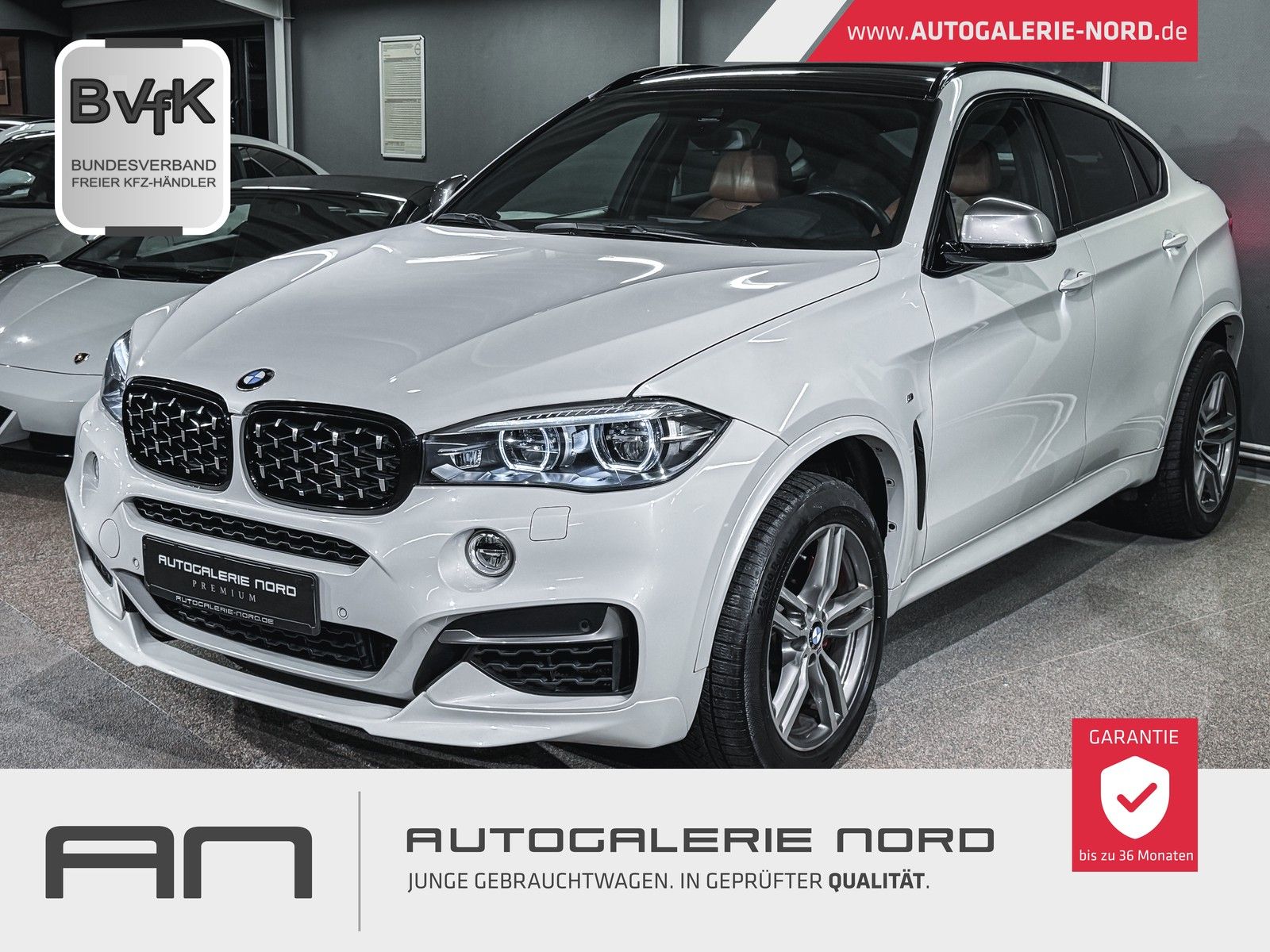 BMW X6 X6 M50 d Pure Extravagance+adapt.Light