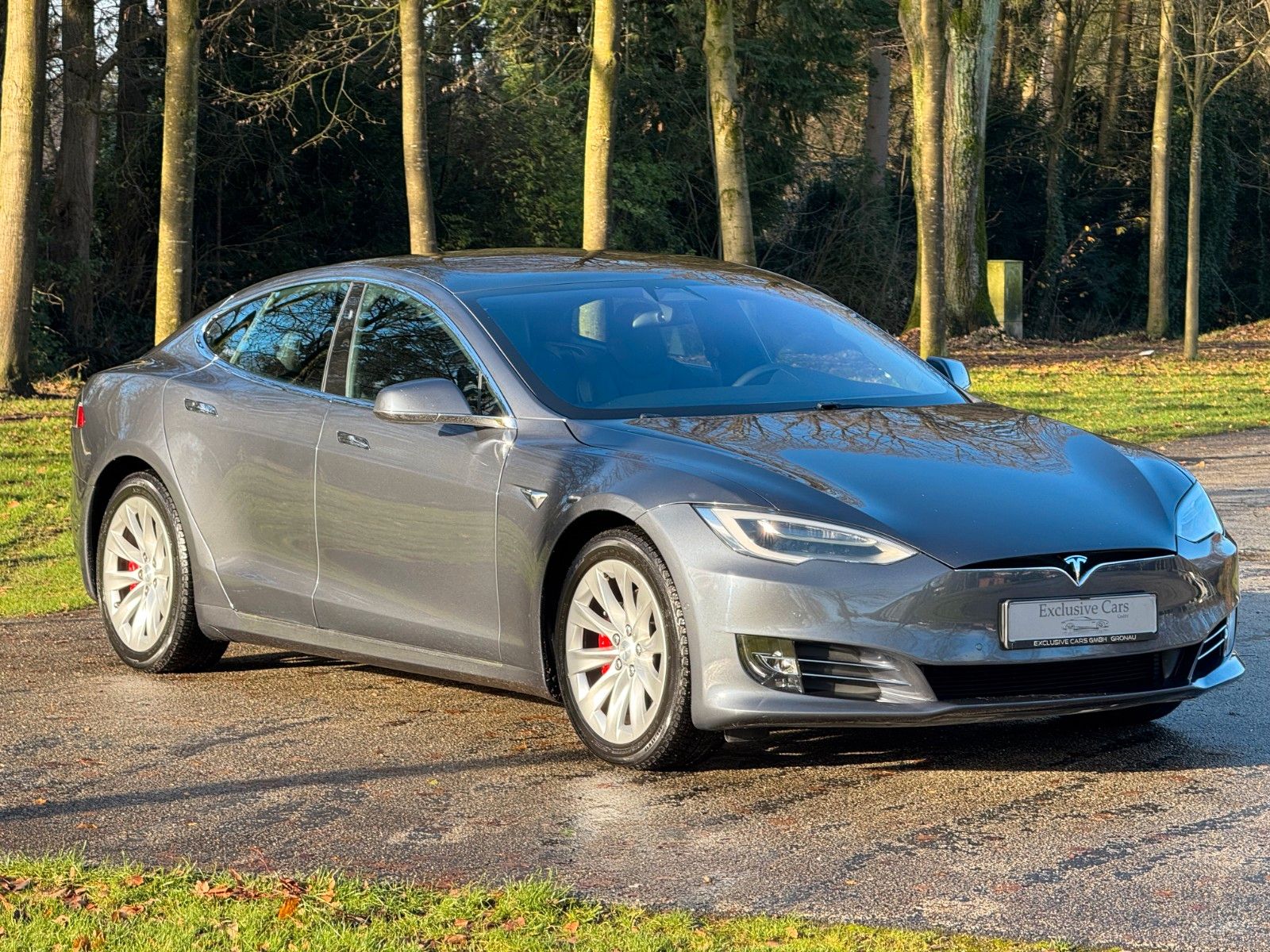 Tesla Model S MODEL S RAVEN PERFORMANCE|AP 3.0|PREMIUM| CCS